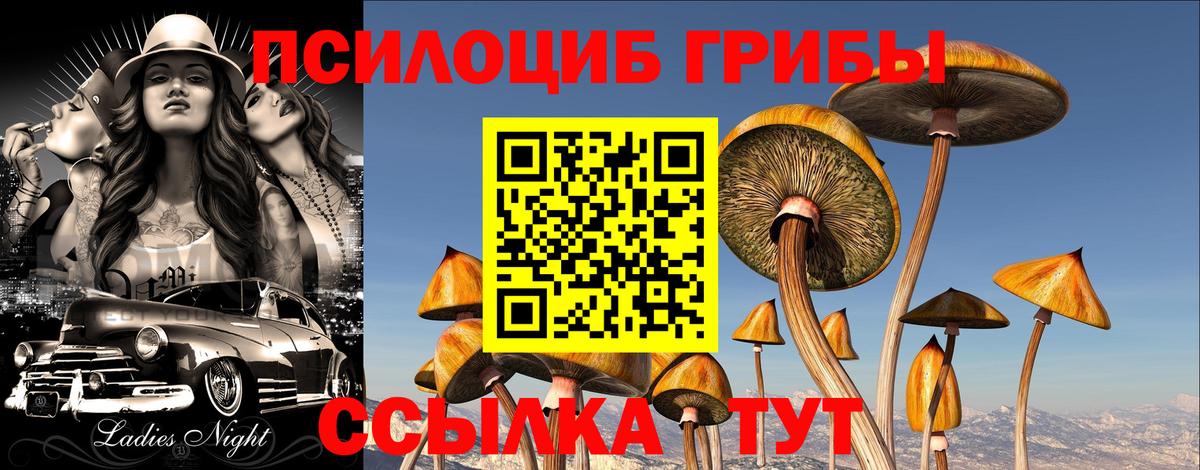 Псилоцибиновые грибы Psilocybe  где продают наркотики  Крымск  Вход с VPN 