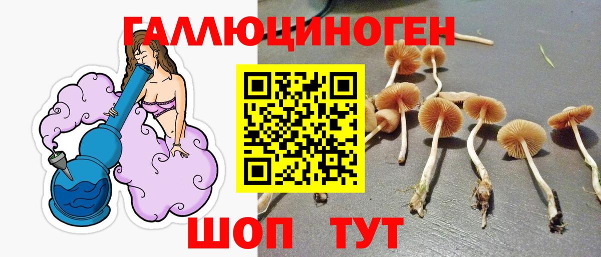 Псилоцибиновые грибы мицелий Крымск